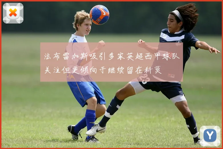 法布雷加斯吸引多家英超西甲球队关注但更倾向于继续留在科莫